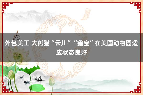 外包美工 大熊猫“云川”“鑫宝”在美国动物园适应状态良好