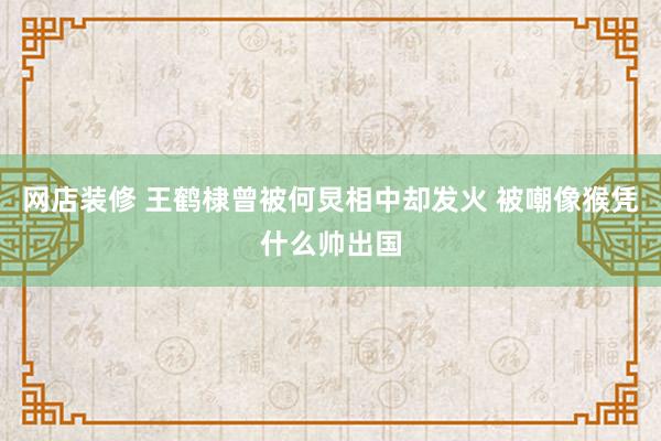 网店装修 王鹤棣曾被何炅相中却发火 被嘲像猴凭什么帅出国