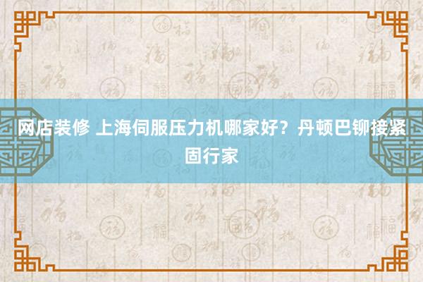 网店装修 上海伺服压力机哪家好？丹顿巴铆接紧固行家