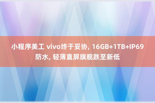 小程序美工 vivo终于妥协, 16GB+1TB+IP69防水, 轻薄直屏旗舰跌至新低