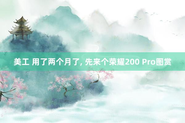 美工 用了两个月了, 先来个荣耀200 Pro图赏