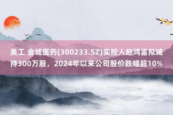 美工 金城医药(300233.SZ)实控人赵鸿富拟减持300万股，2024年以来公司股价跌幅超10%