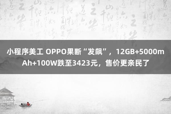 小程序美工 OPPO果断“发飙”，12GB+5000mAh+100W跌至3423元，售价更亲民了